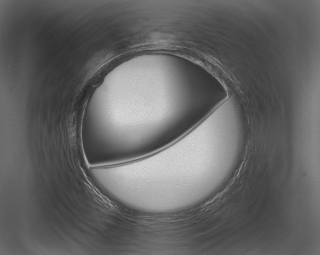 X0000084601450200702231023