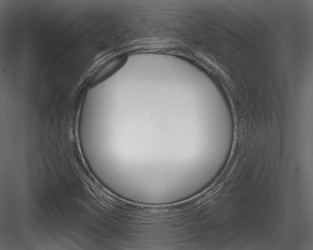 X0000084601451200702231023