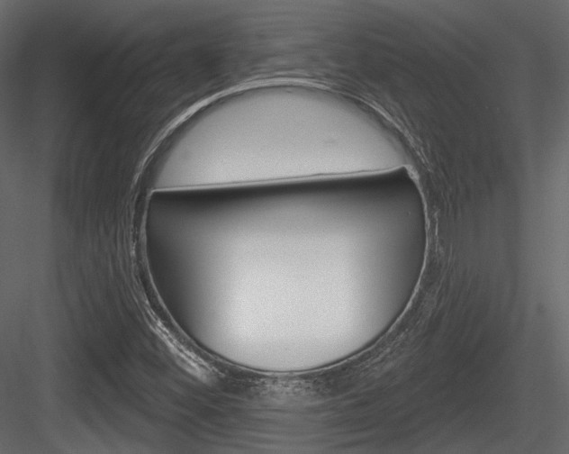 X0000084601452200702231023