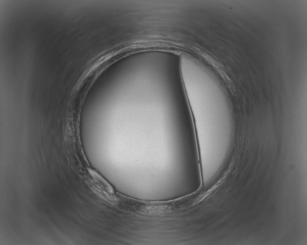 X0000084601453200702231023