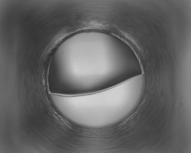 X0000084601455200702231023