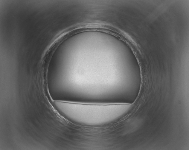 X0000084601456200702231023