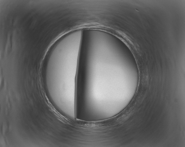 X0000084601458200702231023