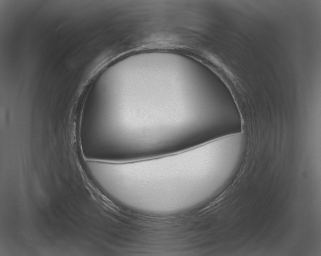 X0000084601459200702231023