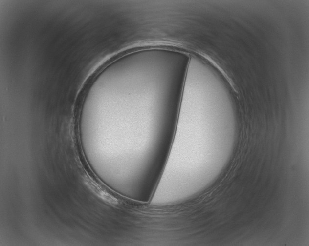 X0000084601460200702231023
