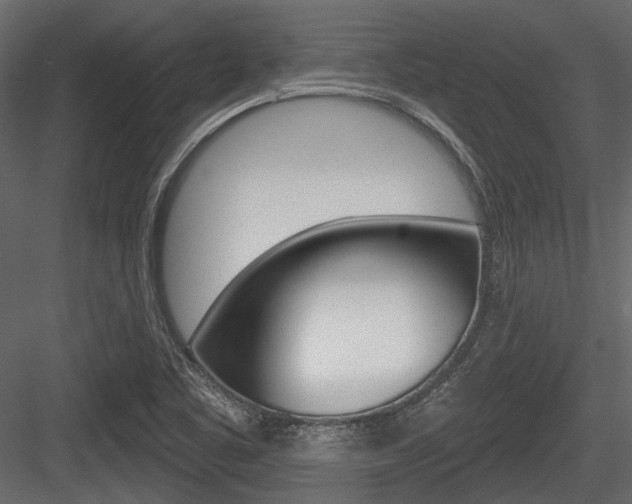 X0000084601461200702231023