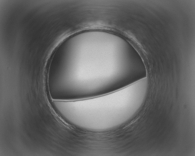 X0000084601463200702231023