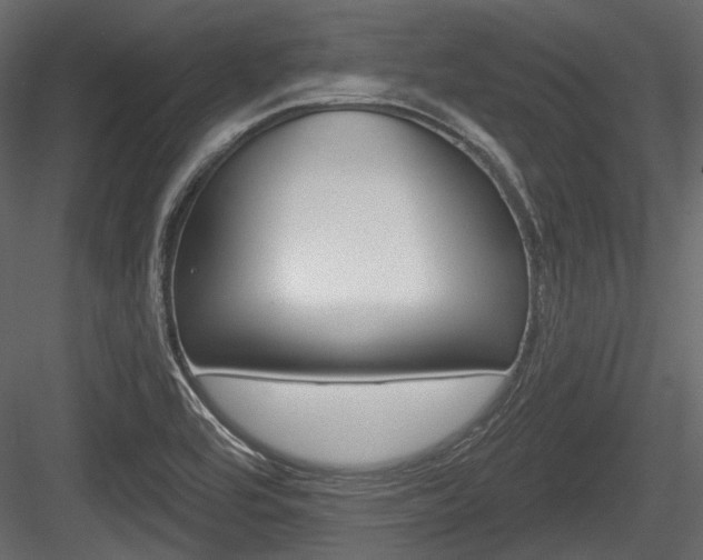 X0000084601464200702231023