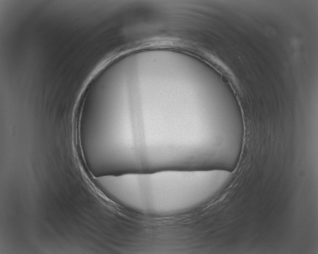 X0000084601467200702231023