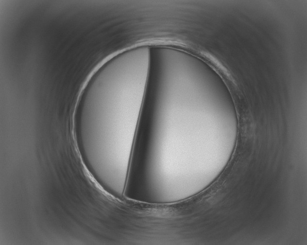 X0000084601468200702231023