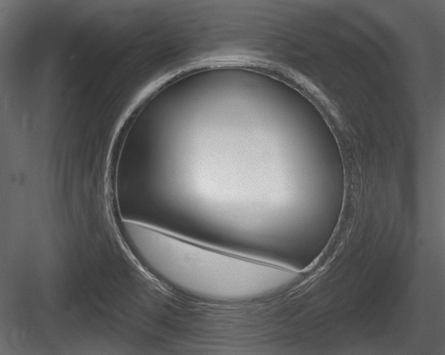 X0000084601469200702231023