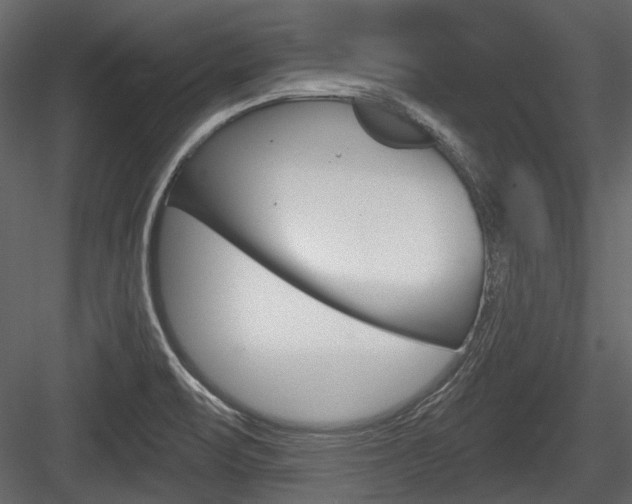 X0000084601471200702231023