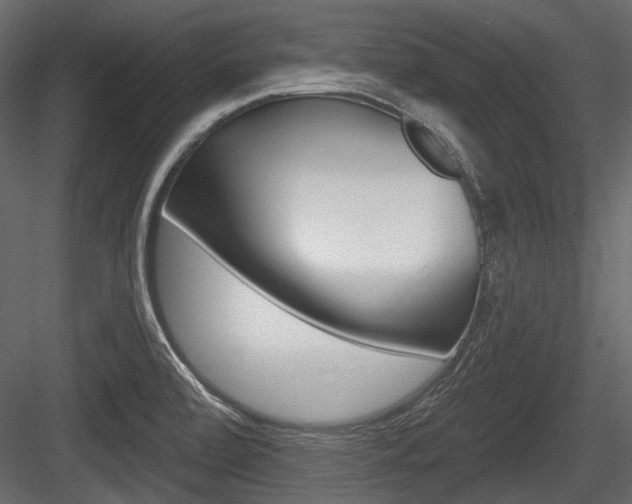 X0000084601472200702231023