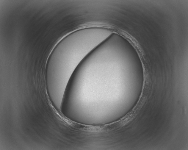 X0000084601473200702231023