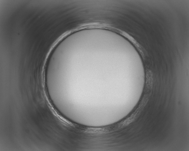 X0000084601474200702231023