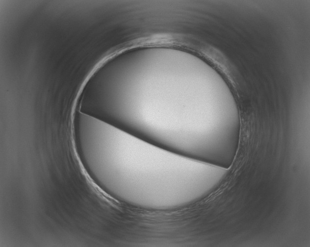 X0000084601475200702231023