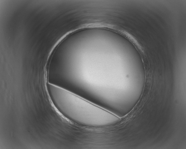 X0000084601476200702231023