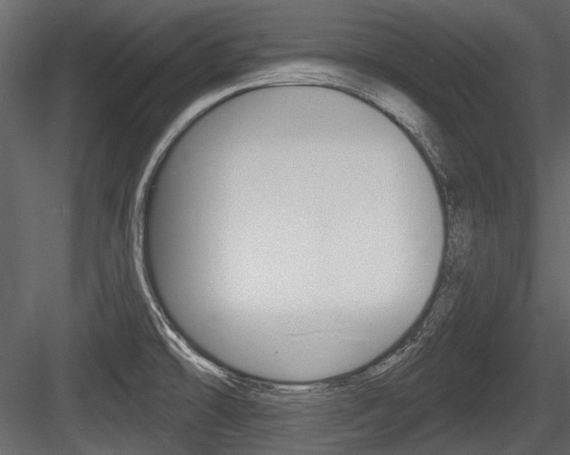 X0000084601478200702231023