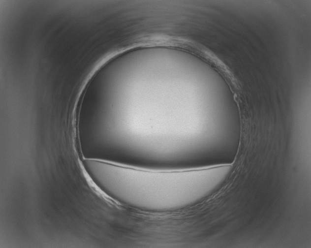 X0000084601479200702231023