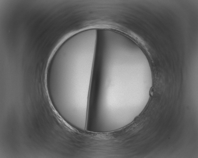 X0000084601480200702231023