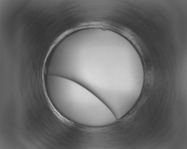 X0000084601482200702231023