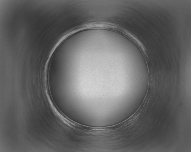 X0000084601483200702231023