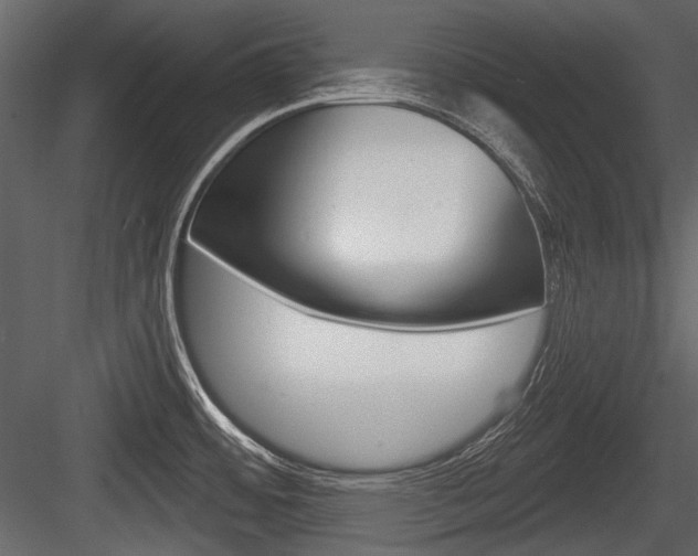 X0000084601484200702231023