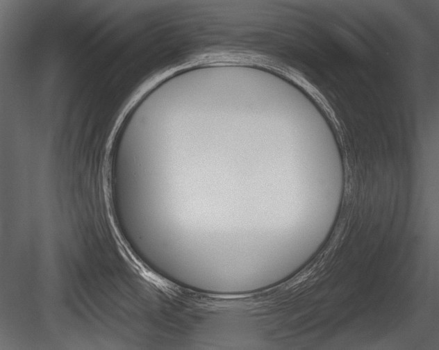 X0000084601486200702231023
