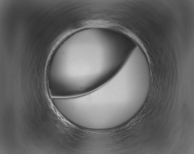 X0000084601488200702231023