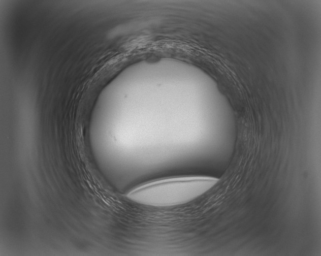 X0000084601489200702231022