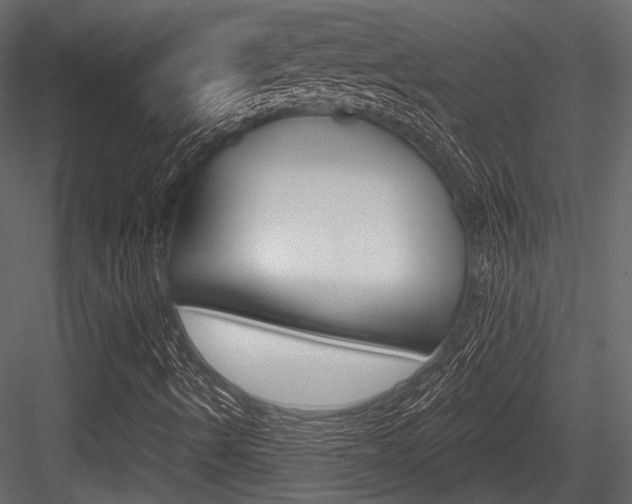 X0000084601490200702231022