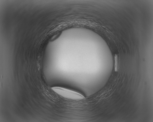 X0000084601491200702231022