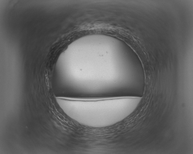 X0000084601493200702231022