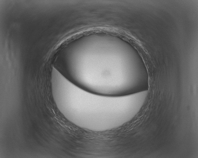 X0000084601496200702231022