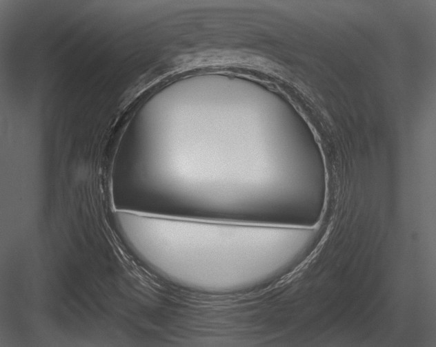 X0000084601497200702231022