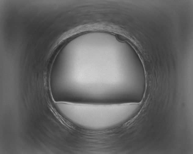 X0000084601499200702231022