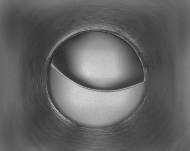 X0000084601500200702231022