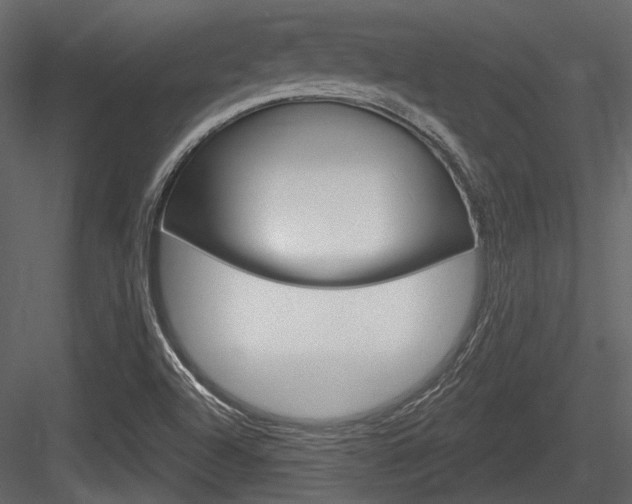 X0000084601504200702231022