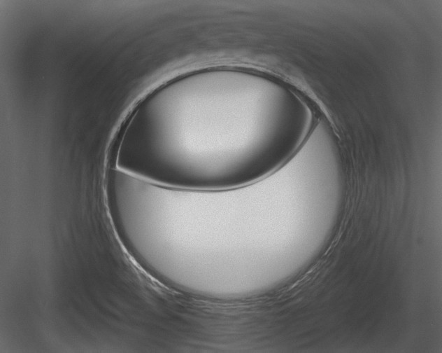 X0000084601508200702231022