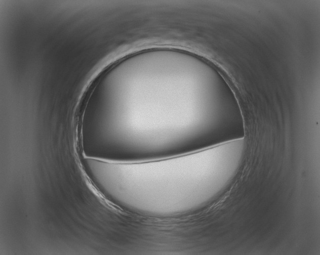 X0000084601511200702231022