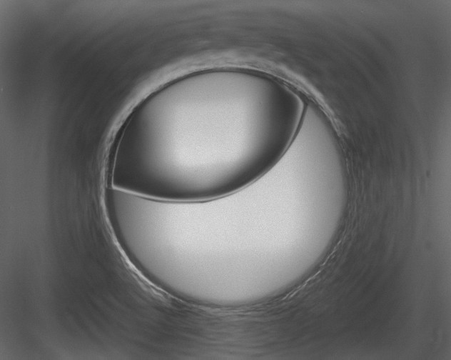 X0000084601512200702231022