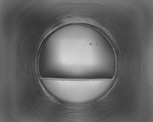 X0000084601513200702231022