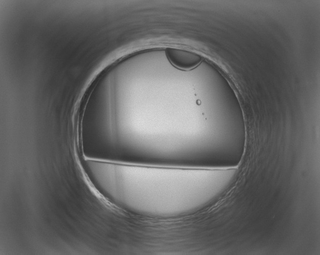 X0000084601515200702231022