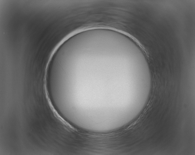 X0000084601518200702231022