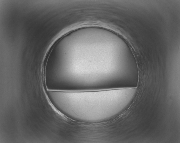 X0000084601519200702231022