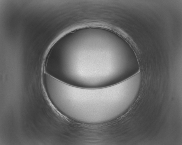 X0000084601520200702231022
