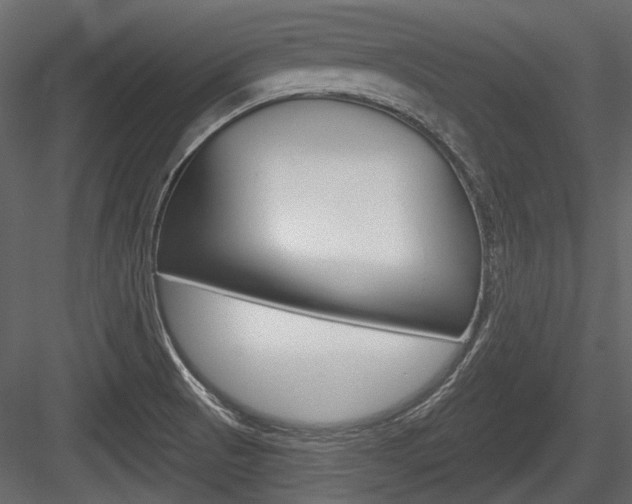 X0000084601521200702231022