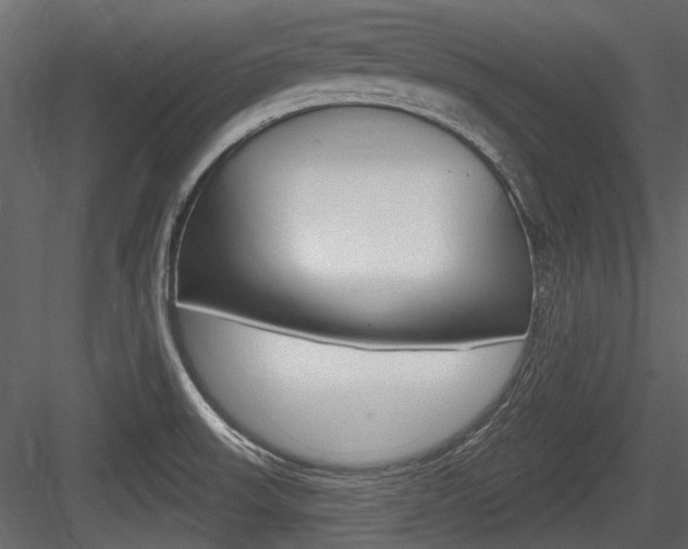 X0000084601523200702231022
