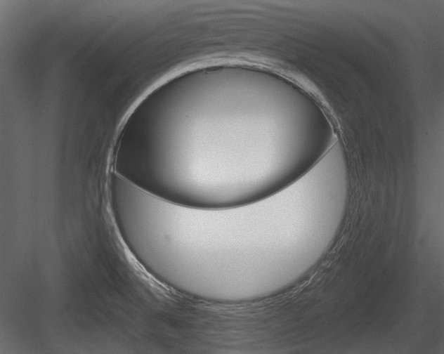 X0000084601524200702231022