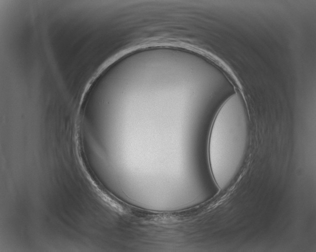 X0000084601525200702231022